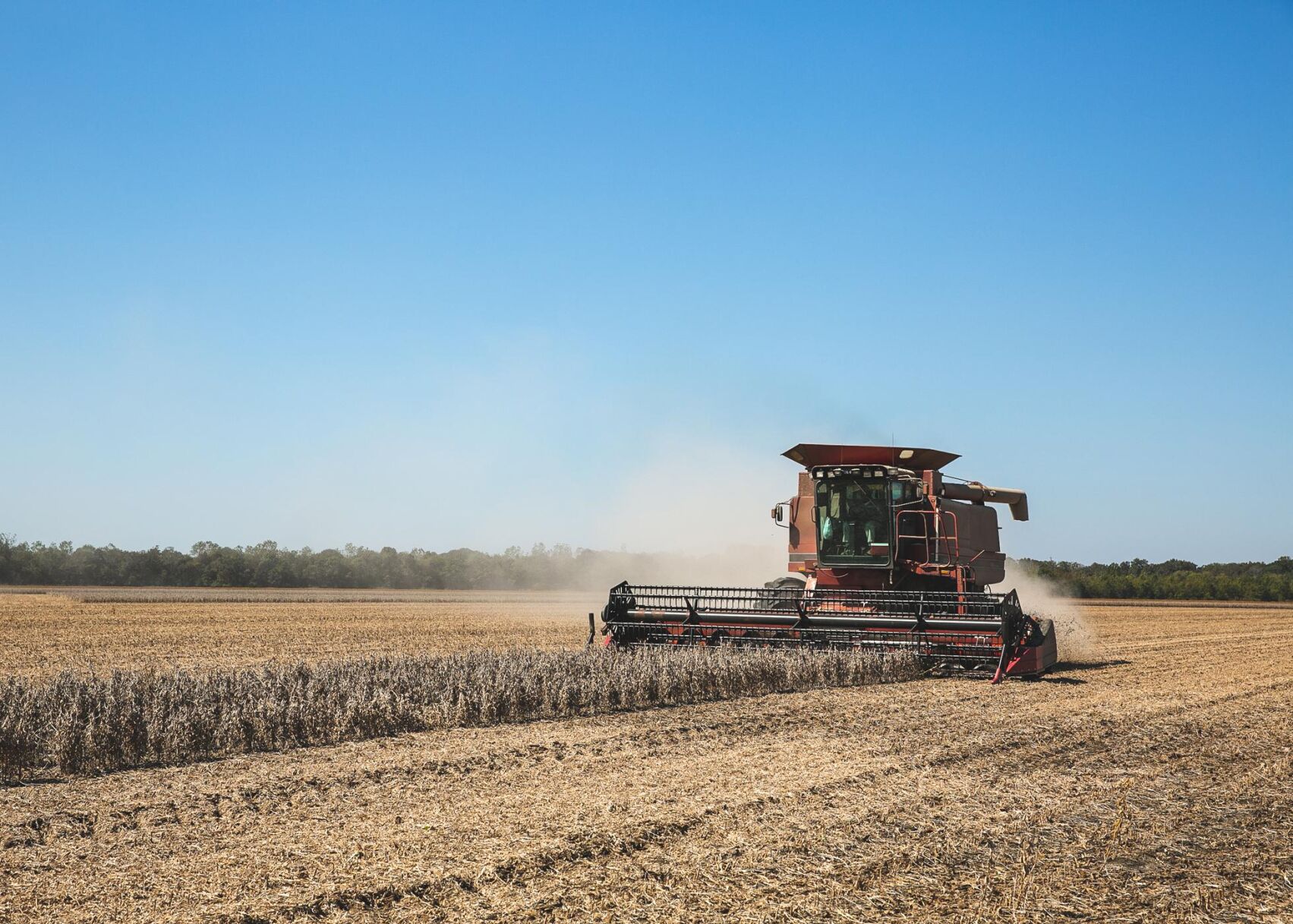 SOYBEAN FARM